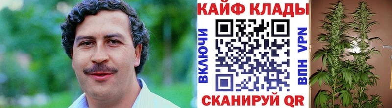 Как найти наркотики Киреевск Псилоцибиновые грибы Мефедрон Амфетамин ГАШ Кокаин Метамфетамин гидра как зайти Канабис