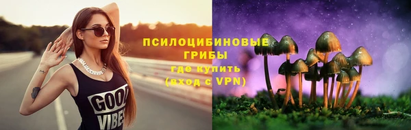 a pvp Алексин