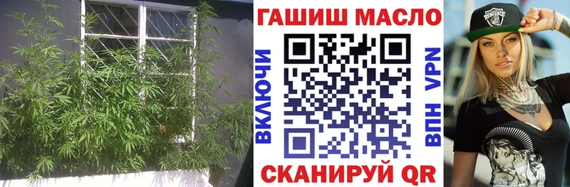 ТГК Wax  Киреевск 