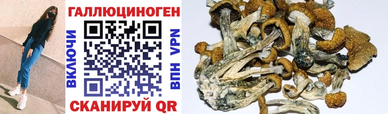 продажа наркотиков  Киреевск  Галлюциногенные грибы Cubensis 
