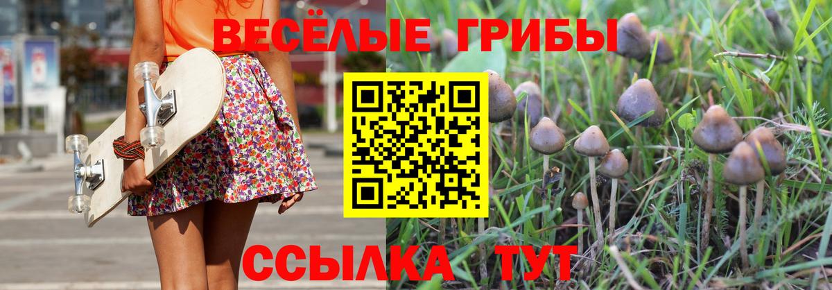 Киреевск  Псилоцибиновые грибы Psilocybine cubensis  Вход с VPN 